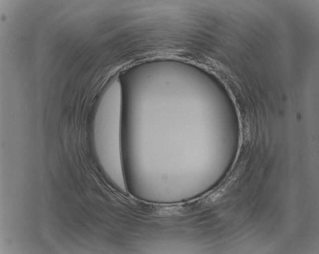 X0000075861161200609221748