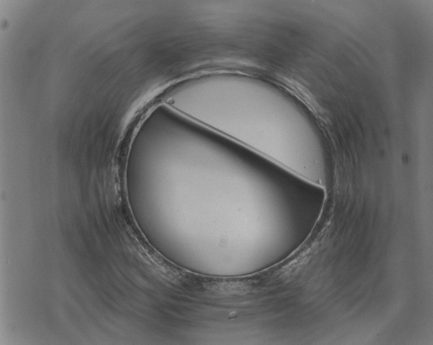 X0000075861164200609221748