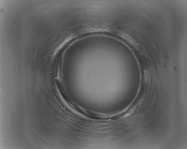 X0000075861165200609221748