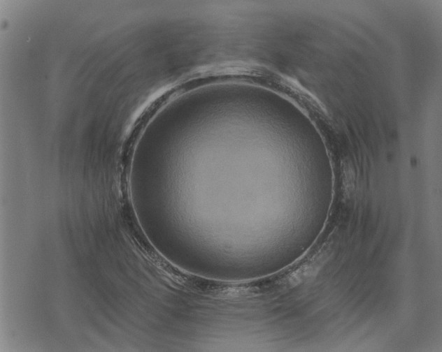 X0000075861166200609221748