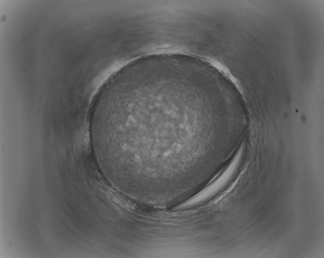 X0000075861167200609221748