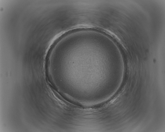 X0000075861168200609221748