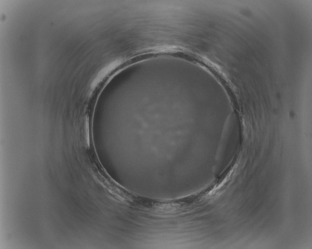 X0000075861171200609221748