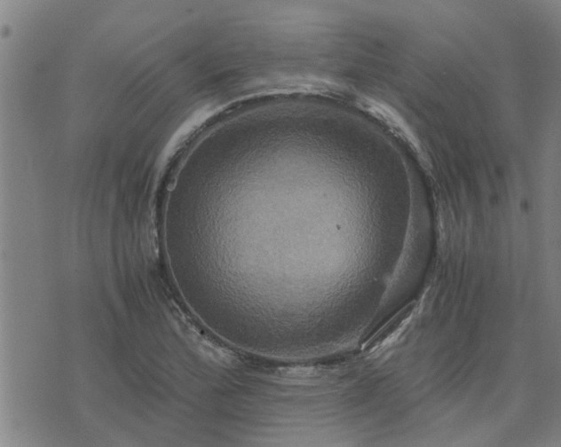 X0000075861172200609221748