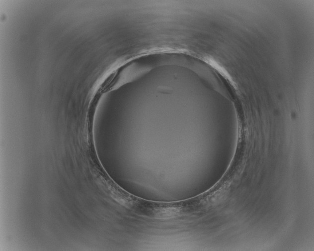 X0000075861173200609221748