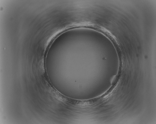 X0000075861174200609221748