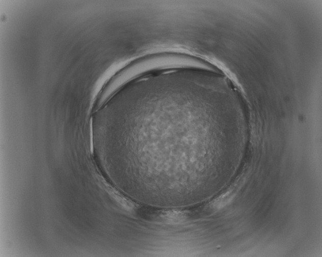 X0000075861175200609221748