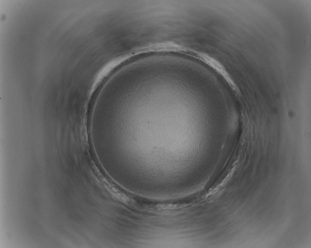 X0000075861176200609221748