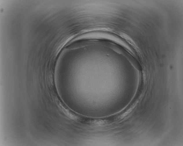 X0000075861177200609221748