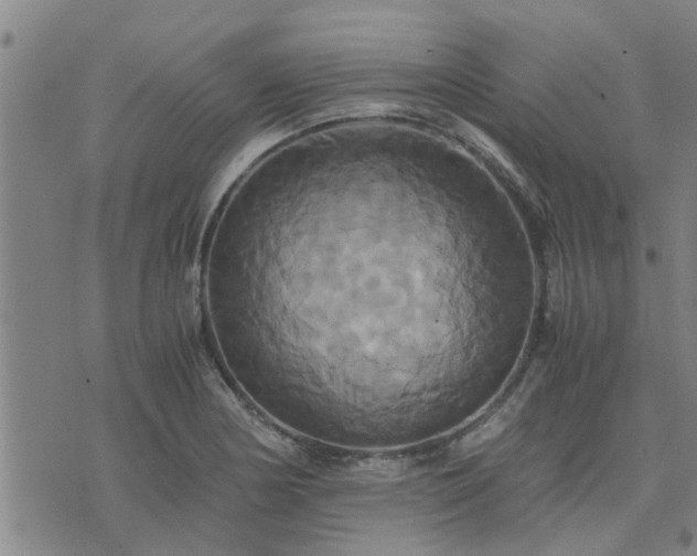 X0000075861178200609221748