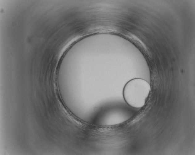 X0000075861182200609221748