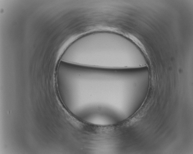 X0000075861183200609221748