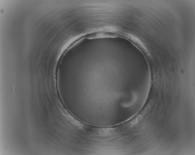 X0000075861184200609221748