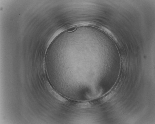 X0000075861186200609221748