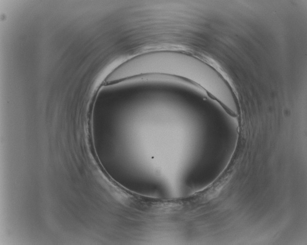 X0000075861187200609221748