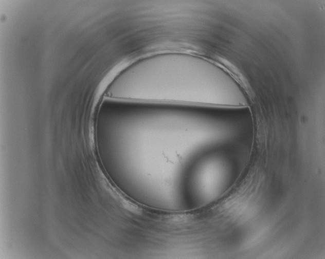 X0000075861188200609221748