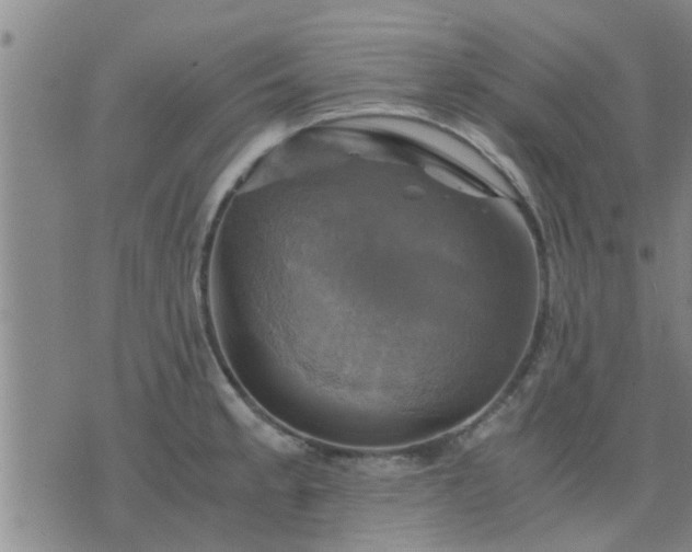 X0000075861189200609221748