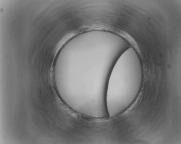 X0000075861190200609221748