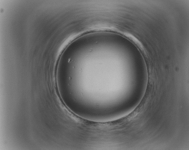 X0000075861191200609221748