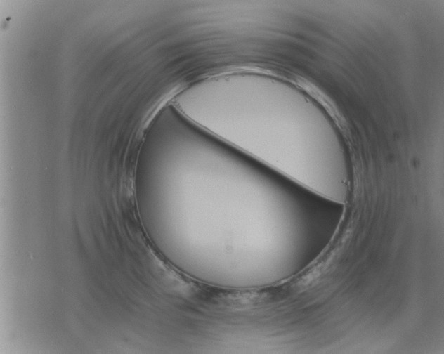 X0000075861193200609221748