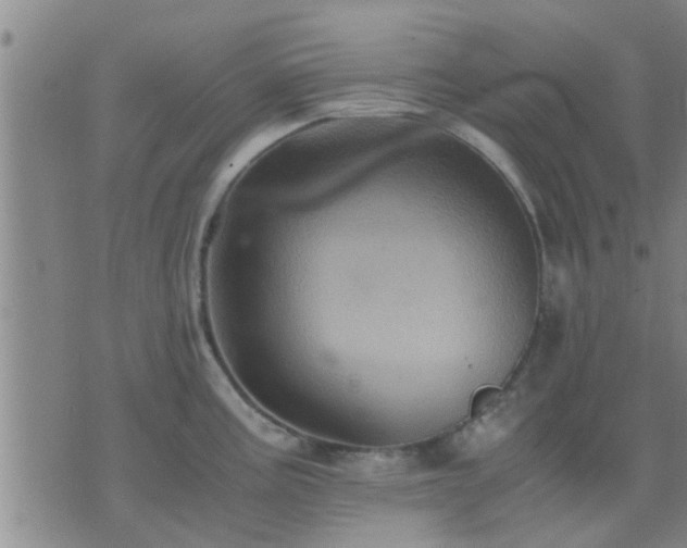 X0000075861195200609221748