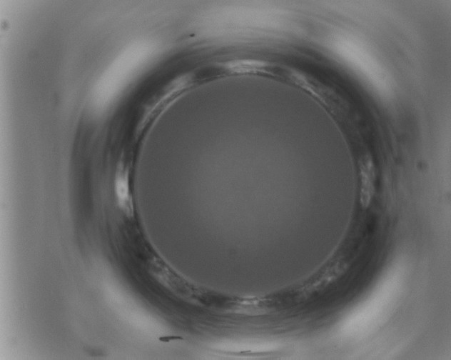 X0000075861198200609221748