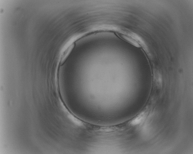 X0000075861199200609221748