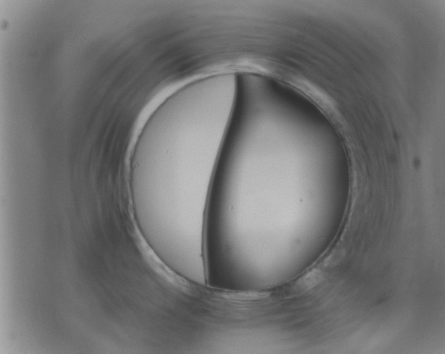 X0000075861200200609221748