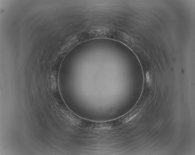 X0000075861203200609221747