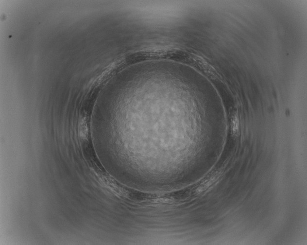 X0000075861204200609221747