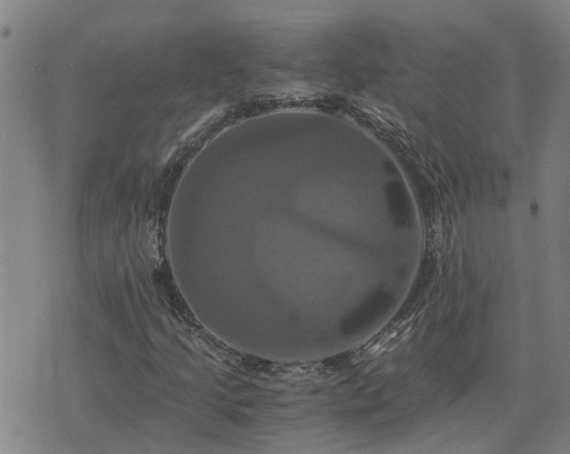 X0000075861205200609221747