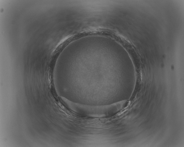 X0000075861206200609221747