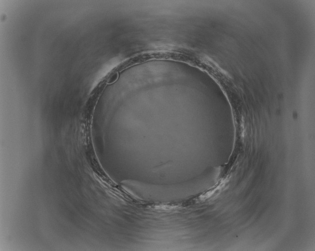 X0000075861208200609221747