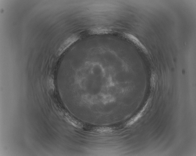 X0000075861209200609221747