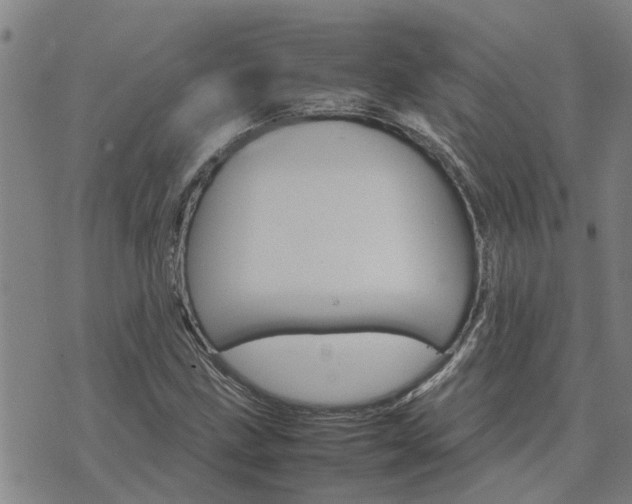 X0000075861211200609221747