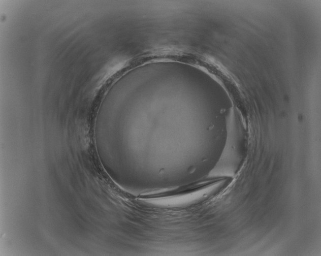 X0000075861213200609221747