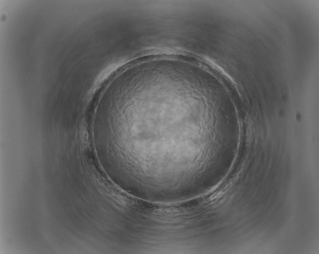 X0000075861215200609221747