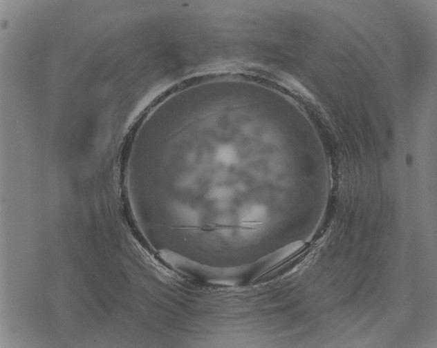 X0000075861216200609221747