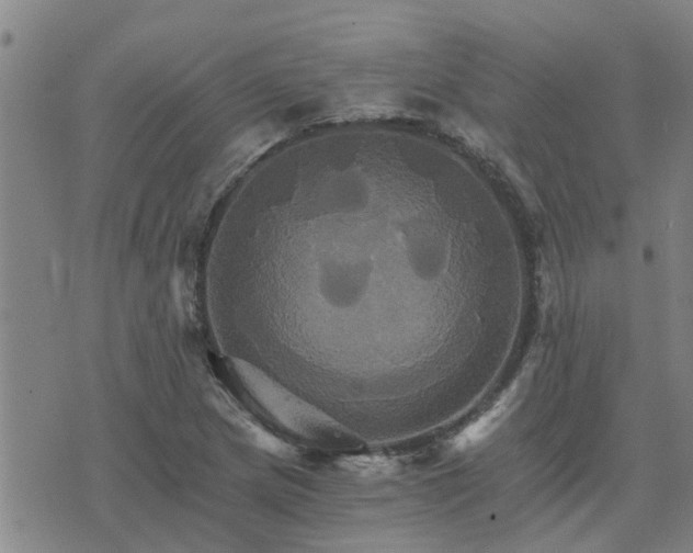 X0000075861217200609221747