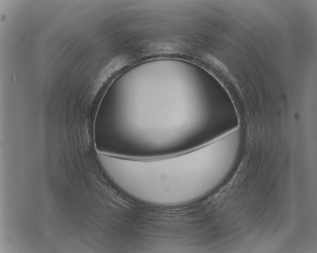 X0000075861218200609221747