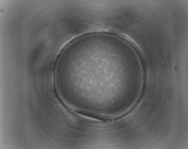 X0000075861220200609221747