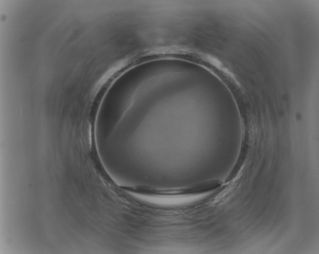 X0000075861221200609221747