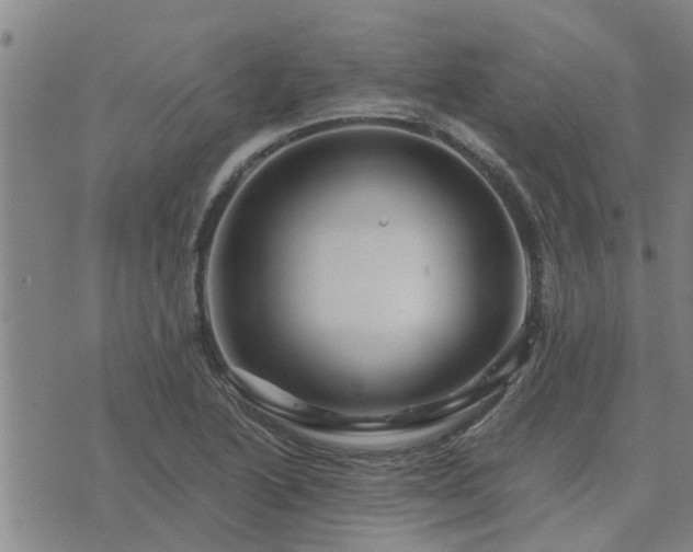 X0000075861222200609221747