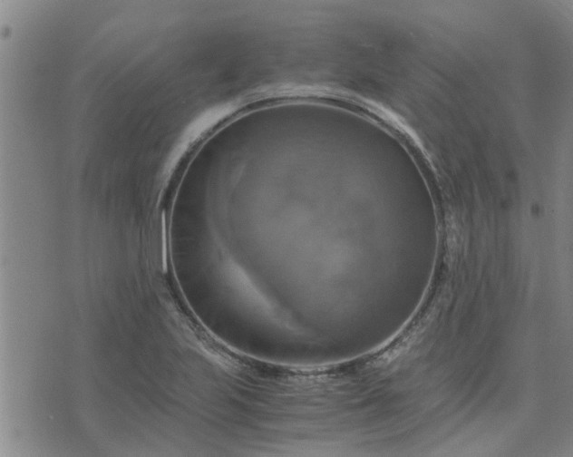 X0000075861223200609221747