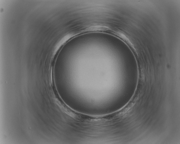 X0000075861227200609221747