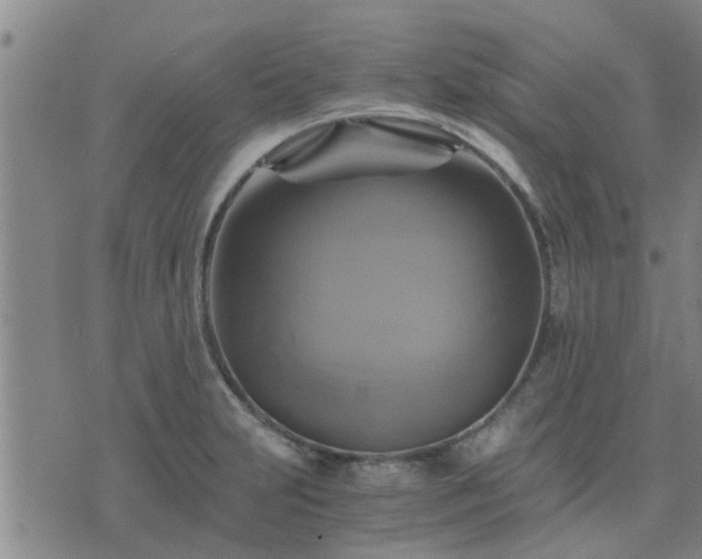 X0000075861231200609221747