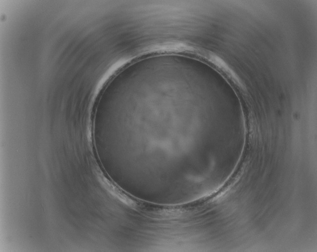 X0000075861232200609221747