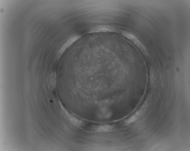 X0000075861233200609221747