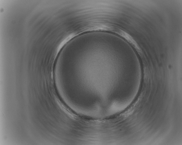 X0000075861234200609221747