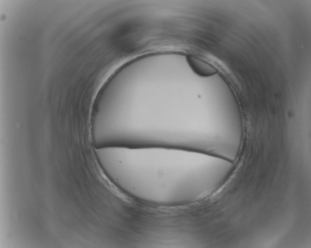 X0000075861236200609221747